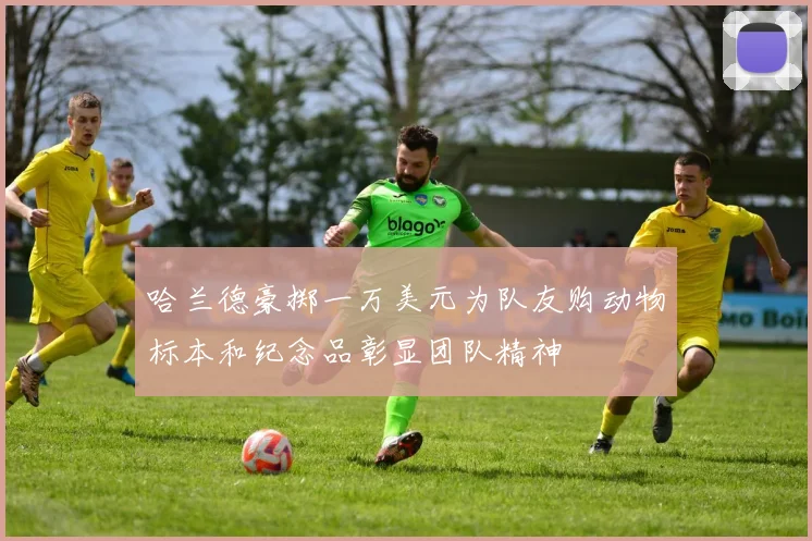 哈兰德豪掷一万美元为队友购动物标本和纪念品彰显团队精神